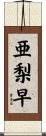 亜梨早 Scroll