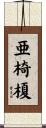 亜椅榎 Scroll