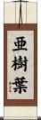 亜樹葉 Scroll
