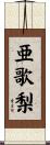 亜歌梨 Scroll