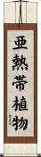 亜熱帯植物 Scroll
