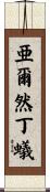 亜爾然丁蟻 Scroll
