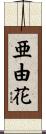 亜由花 Scroll