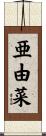 亜由菜 Scroll