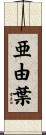 亜由葉 Scroll