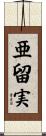 亜留実 Scroll