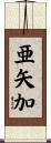 亜矢加 Scroll