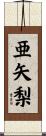 亜矢梨 Scroll