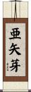 亜矢芽 Scroll