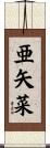 亜矢菜 Scroll