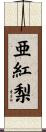 亜紅梨 Scroll