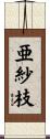 亜紗枝 Scroll