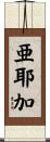 亜耶加 Scroll