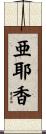 亜耶香 Scroll