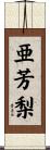 亜芳梨 Scroll