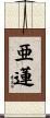 亜蓮 Scroll