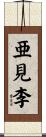 亜見李 Scroll
