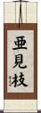 亜見枝 Scroll