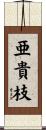 亜貴枝 Scroll