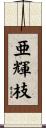 亜輝枝 Scroll