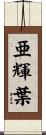亜輝葉 Scroll