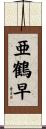 亜鶴早 Scroll