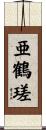 亜鶴瑳 Scroll