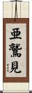 亜鷲見 Scroll
