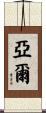 Yael Scroll