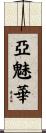 亞魅華 Scroll