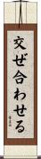 交ぜ合わせる Scroll