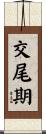 交尾期 Scroll