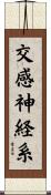 交感神経系 Scroll