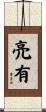 亮有 Scroll