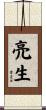 亮生 Scroll