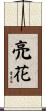 亮花 Scroll