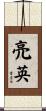 亮英 Scroll