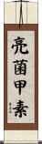 亮菌甲素 Scroll