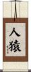 人猿 Scroll