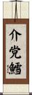 介党鱈 Scroll