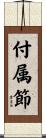 付属節 Scroll