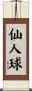 仙人球 Scroll