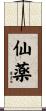 仙薬 Scroll