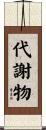 代謝物 Scroll