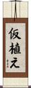 仮植え Scroll