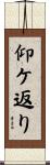 仰ケ返り Scroll