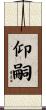 仰嗣 Scroll