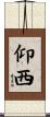 仰西 Scroll