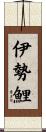 伊勢鯉 Scroll
