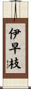 伊早枝 Scroll